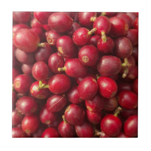 Verse, rijpe rode koffie kersen tegeltje