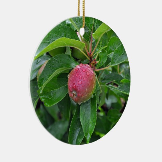 Verse rode appel op boom keramisch ornament (Rechts)