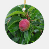 Verse rode appel op boom keramisch ornament (Voorkant)