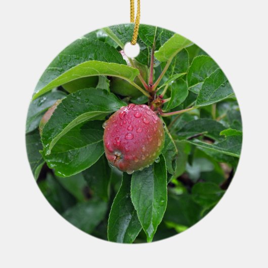 Verse rode appel op boom keramisch ornament (Voorkant)