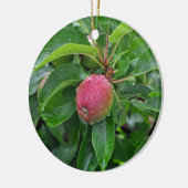 Verse rode appel op boom keramisch ornament (Links)