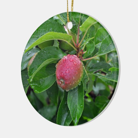 Verse rode appel op boom keramisch ornament (Links)