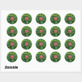Verse rode appel op boom ronde sticker (Vel)