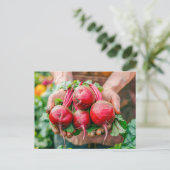 Verse rode bieten in rustieke stijl feestdagenkaart (Staand voorkant)