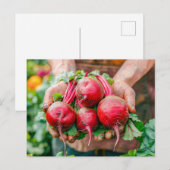 Verse rode bieten in rustieke stijl feestdagenkaart (Voorkant / Achterkant)