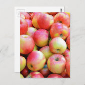 Verse rode en gele appelen briefkaart (Voorkant / Achterkant)