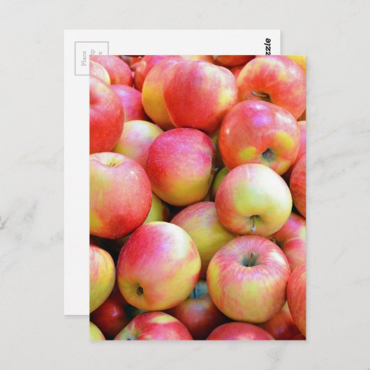 Verse rode en gele appelen briefkaart (Voorkant / Achterkant)