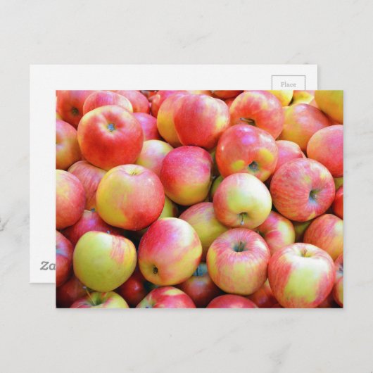 Verse rode en gele appelen briefkaart (Voorkant / Achterkant)
