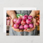 Verse rode uien in het bezit van de boer feestdagenkaart (Voorkant / Achterkant)