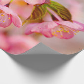 Verse roze Sakura-bloemen op roze Cadeaupapier (Hoek)