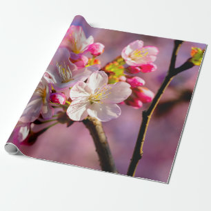 Verse Sakura-bloemen in de tuin Cadeaupapier