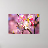 Verse Sakura-bloemen in de tuin in Springtime Canvas Afdruk (Voorkant)