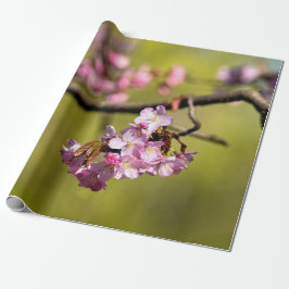 Verse Sakura Flowers on Green Cadeaupapier