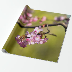 Verse Sakura Flowers on Green Cadeaupapier