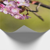 Verse Sakura Flowers on Green Cadeaupapier (Hoek)