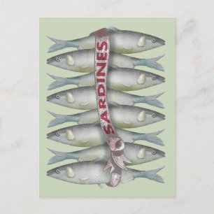 Verse sardines briefkaart