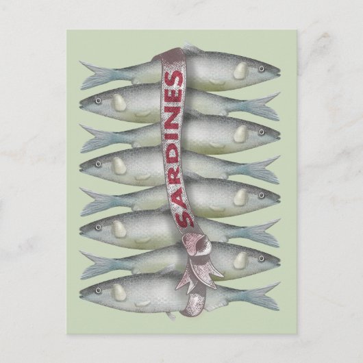 Verse sardines briefkaart (Voorkant)