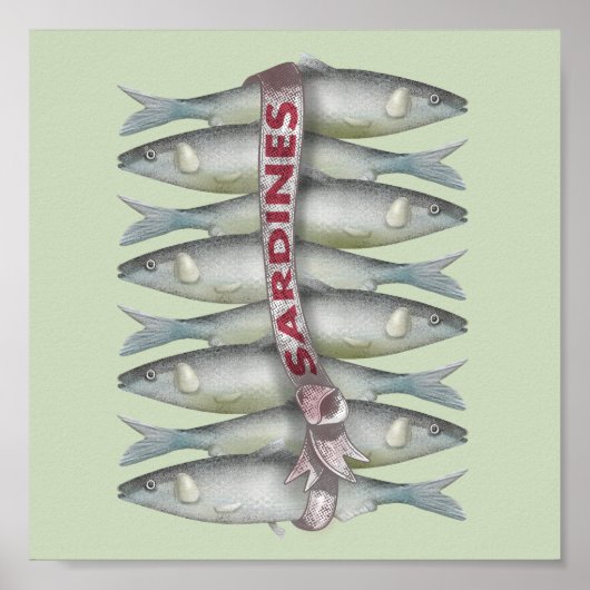 Verse sardines poster (Voorkant)
