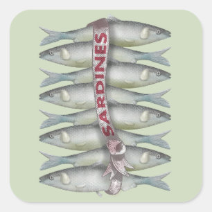 Verse sardines vierkante sticker