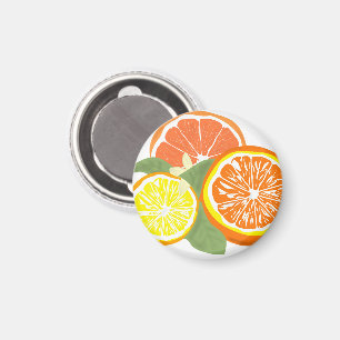 Verse schijfjes citrus sinaasappel citroen magneet
