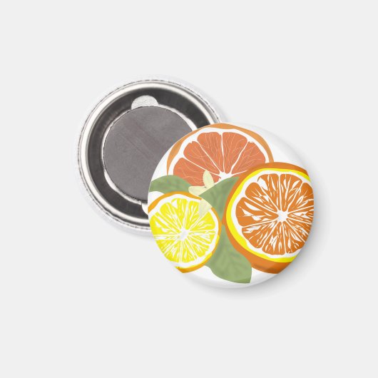 Verse schijfjes citrus sinaasappel citroen magneet (Voorkant / Achterkant)