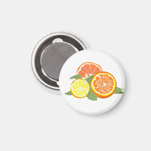 Verse schijfjes citrus sinaasappel citroen magneet