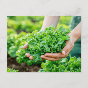 Verse sla met levendige greens feestdagenkaart