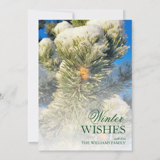 Verse sneeuw op dennennaalden (Voorkant)