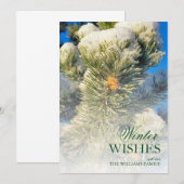 Verse sneeuw op dennennaalden (Voorkant / Achterkant)