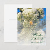 Verse sneeuw op dennennaalden briefkaart (Voorkant / Achterkant)