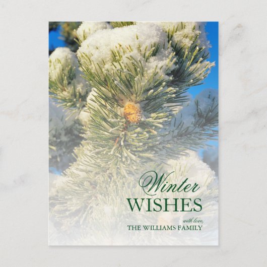 Verse sneeuw op dennennaalden briefkaart (Voorkant)