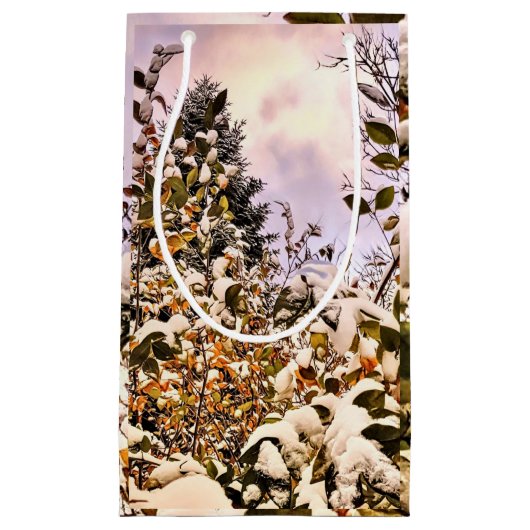 verse sneeuw op gekleurde bladeren klein cadeauzakje (Voorkant)