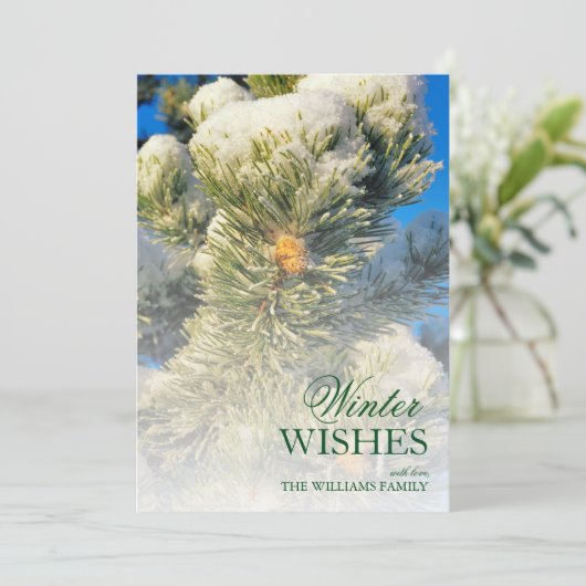 verse sneeuw op pijnnaalden (Staand voorkant)