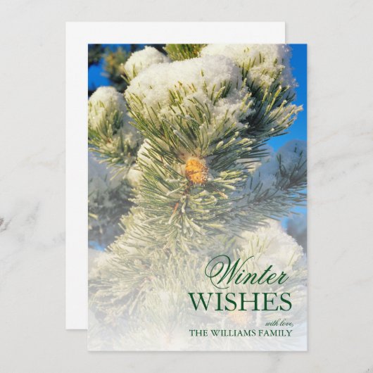 verse sneeuw op pijnnaalden (Voorkant / Achterkant)