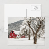 Verse sneeuw op rode schuur briefkaart (Voorkant / Achterkant)