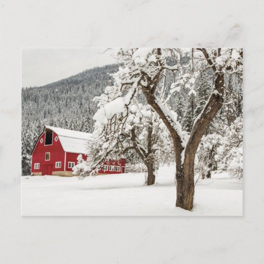 Verse sneeuw op rode schuur briefkaart (Voorkant)