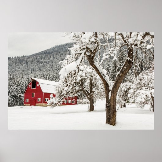 Verse sneeuw op rode schuur poster (Voorkant)