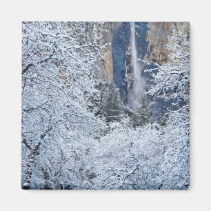 Verse sneeuwval in de bomen onder Bridalveil Magneet