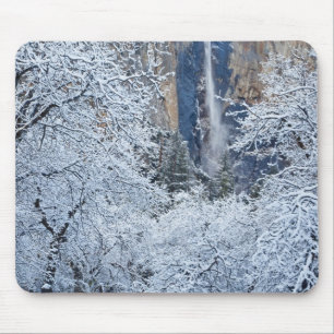 Verse sneeuwval in de bomen onder Bridalveil Muismat
