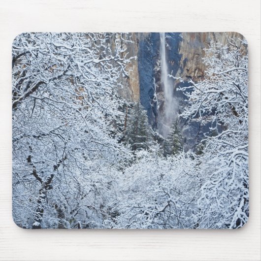 Verse sneeuwval in de bomen onder Bridalveil Muismat (Voorkant)