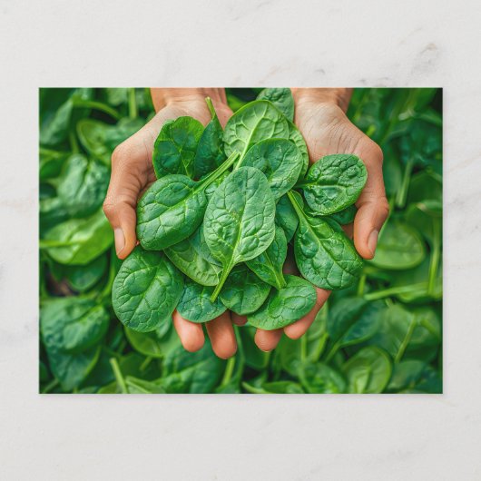 Verse Spinazie Oogst in Handen Feestdagenkaart (Voorkant)