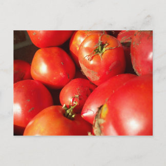 Verse tomaten briefkaart
