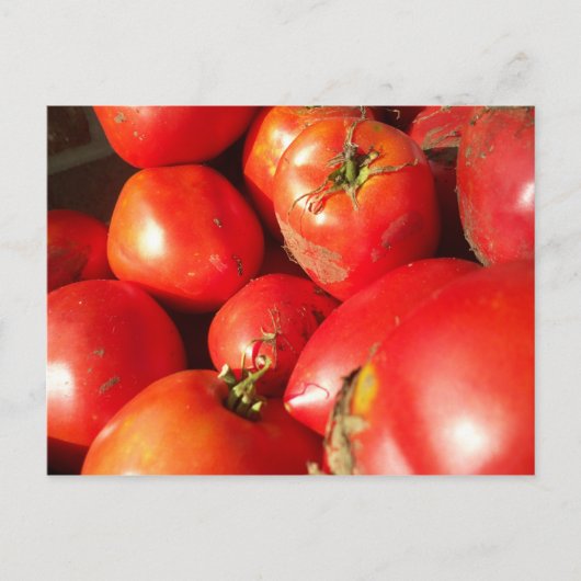 Verse tomaten briefkaart (Voorkant)
