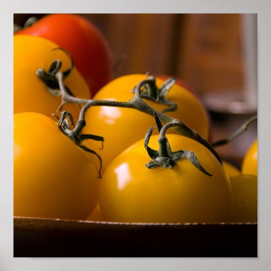 verse tomaten poster (Voorkant)