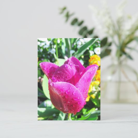 Verse tulpen - Briefkaart (Staand voorkant)