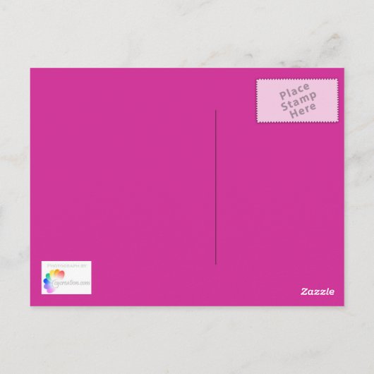 Verse tulpen - Briefkaart (Achterkant)