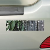 Verse verse salie boerderij-hout twinkellichtjes bumpersticker (Op auto)