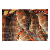 Verse vis foto afdruk (Voorkant)