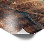 Verse vis foto afdruk (Hoek)