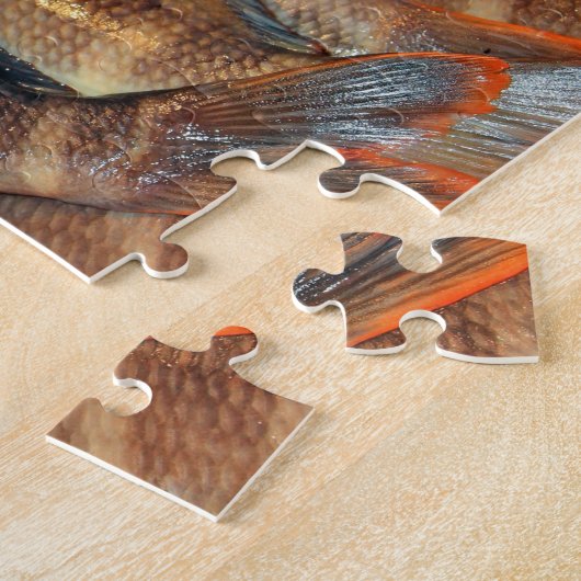 Verse vis legpuzzel (Zijkant)